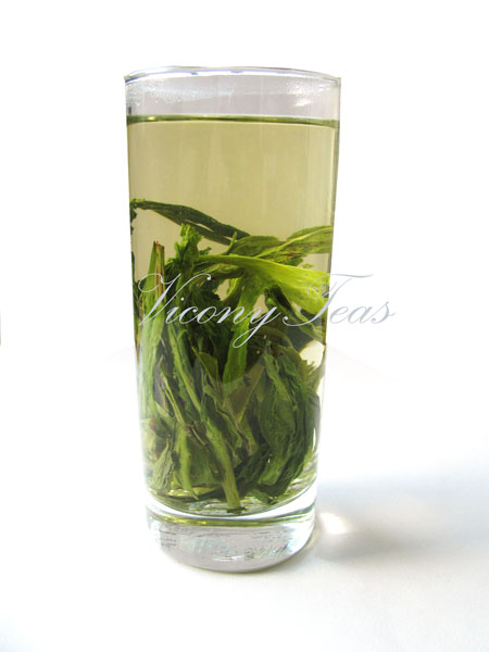Taiping Houkui Tea infusion